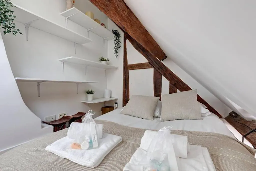 Loft Place Des Vosges Lejlighed Paris