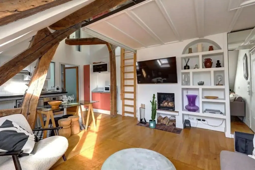 Loft Place Des Vosges Parijs